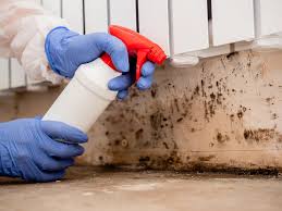 Best Mold Prevention Services  in Horizon West, FL